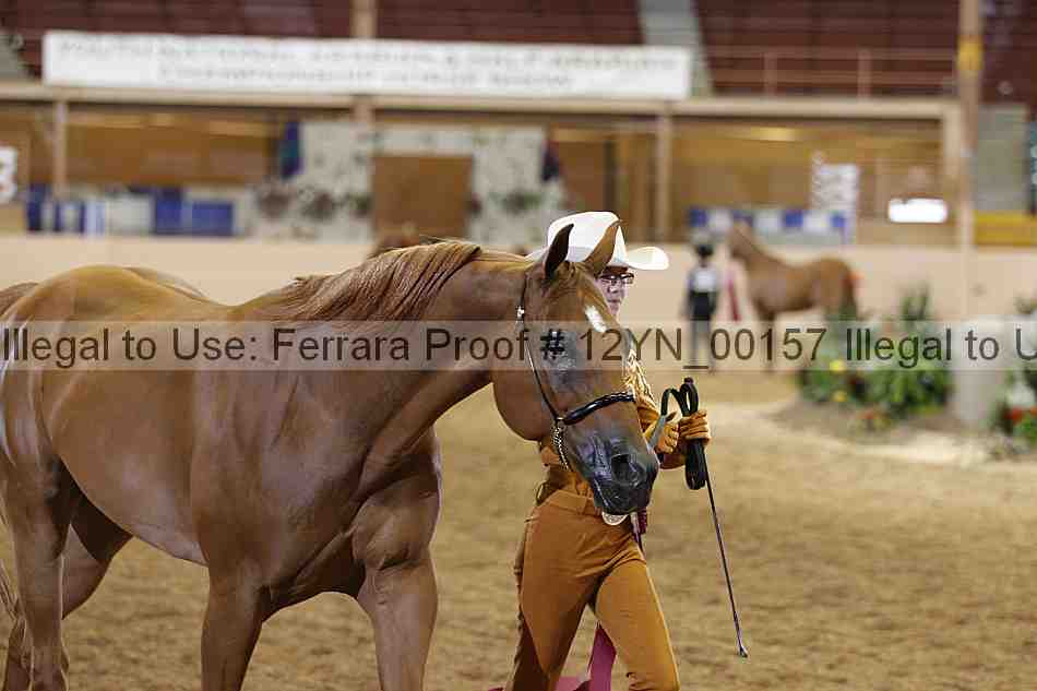 Proof 12yn_00157
