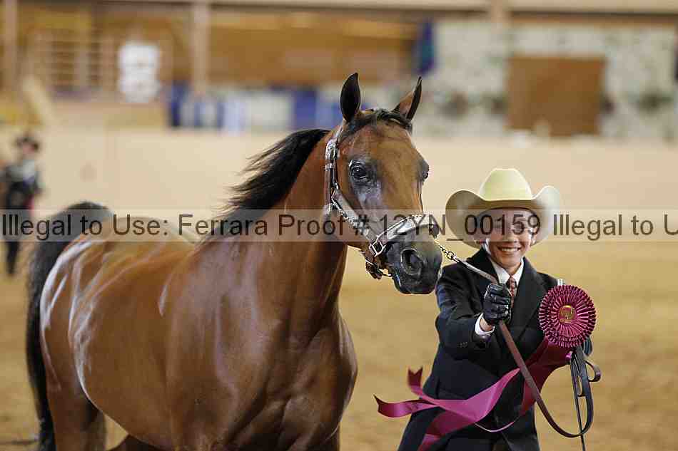 Proof 12yn_00159
