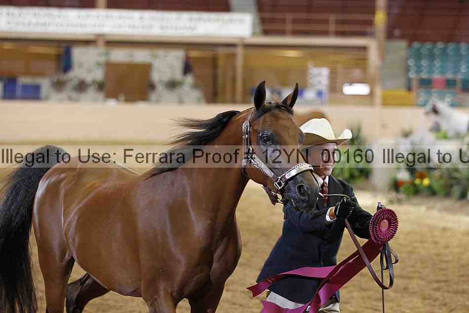 Proof 12yn_00160