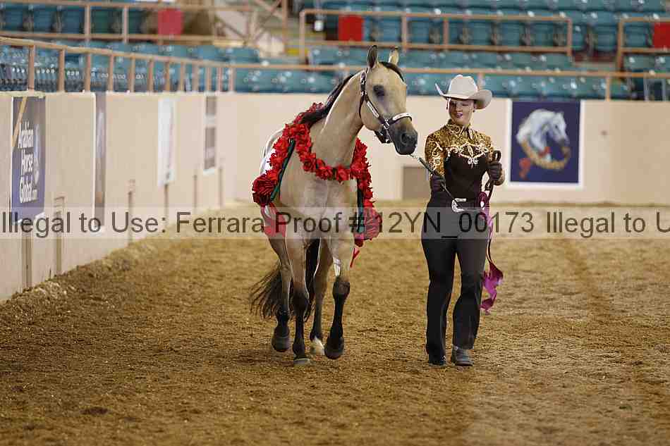 Proof 12yn_00173