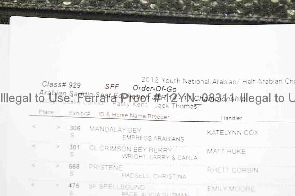 Proof 12yn_08311