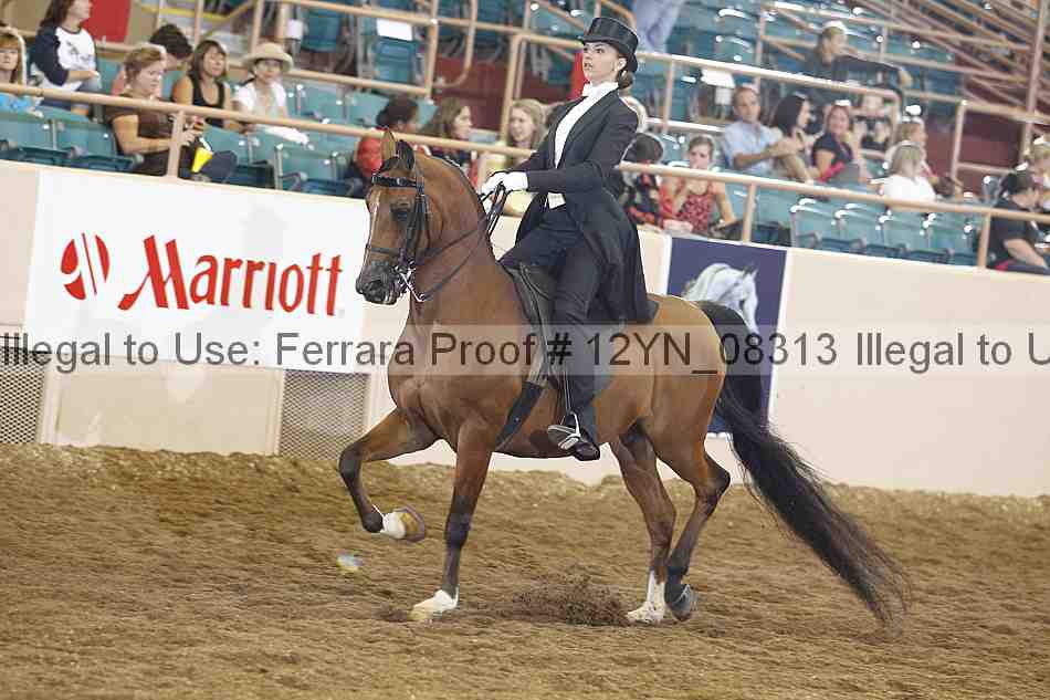Proof 12yn_08313