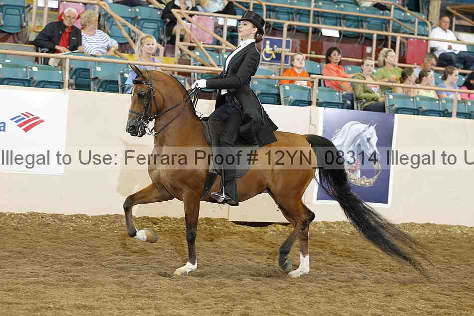 Proof 12yn_08314