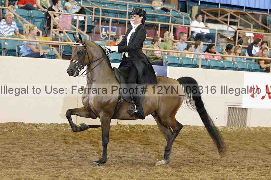 Proof 12yn_08316
