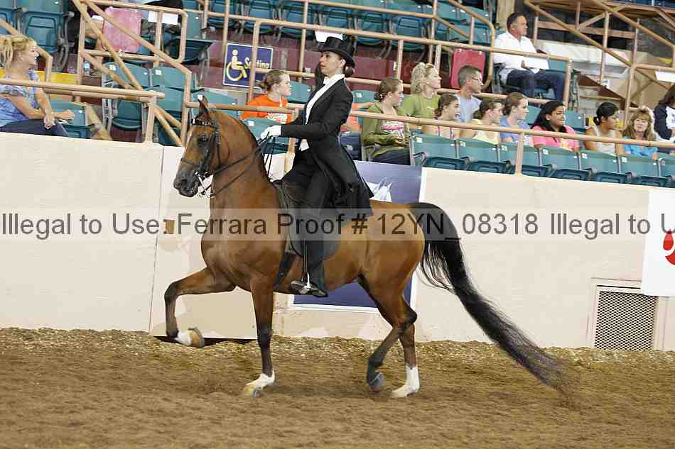 Proof 12yn_08318