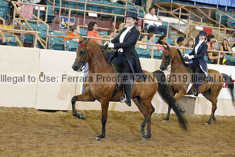 Proof 12yn_08319