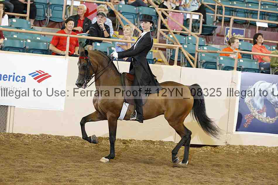 Proof 12yn_08325