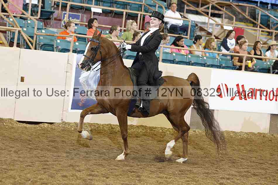 Proof 12yn_08329