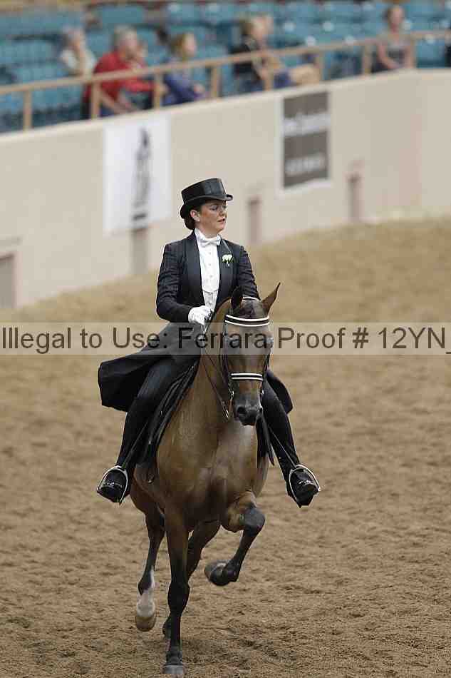 Proof 12yn_08332