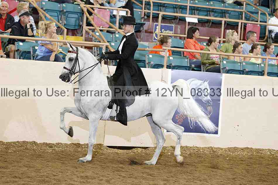 Proof 12yn_08333