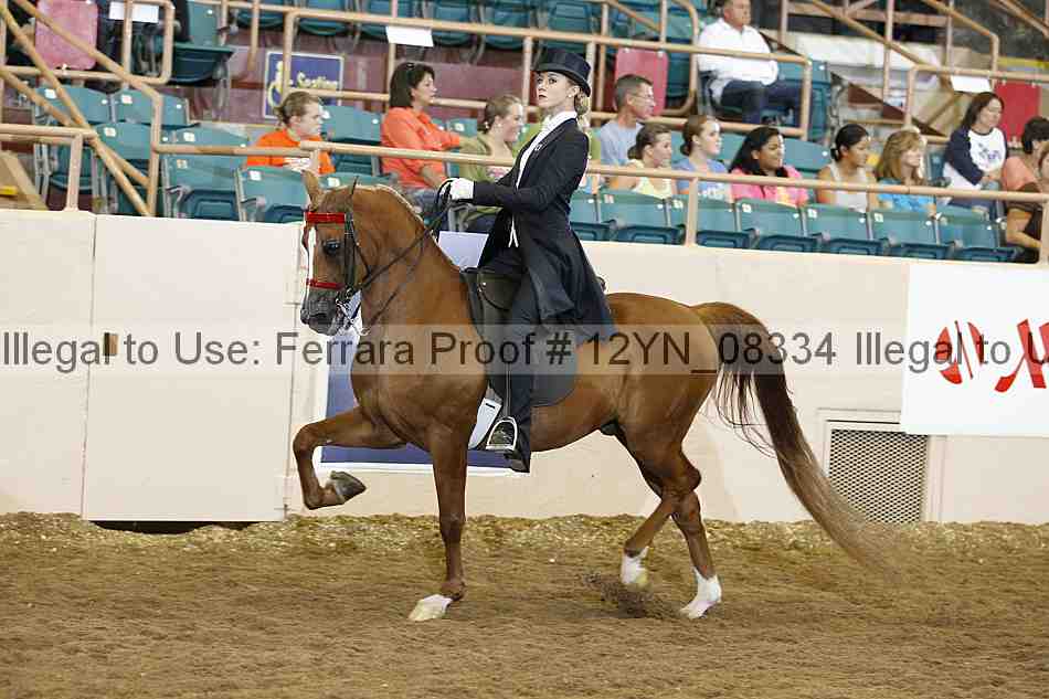 Proof 12yn_08334