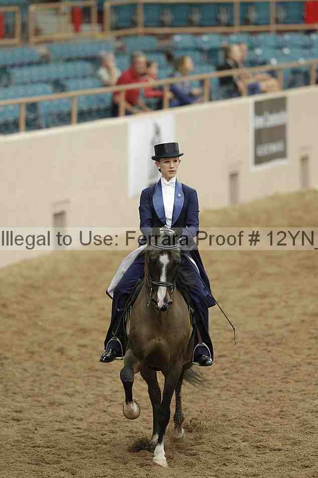 Proof 12yn_08335