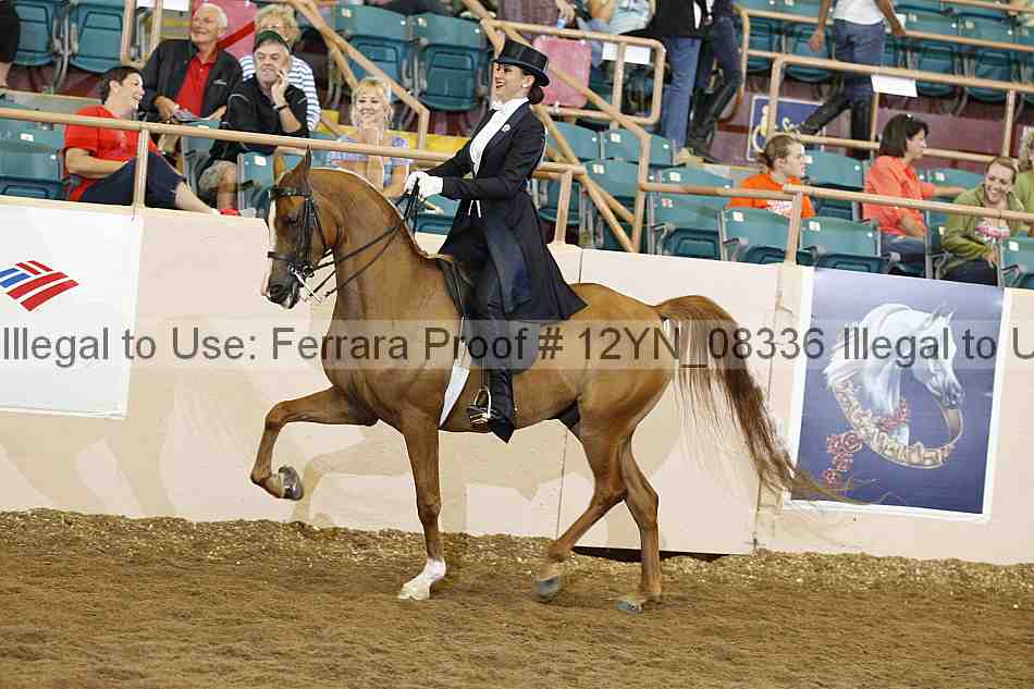 Proof 12yn_08336