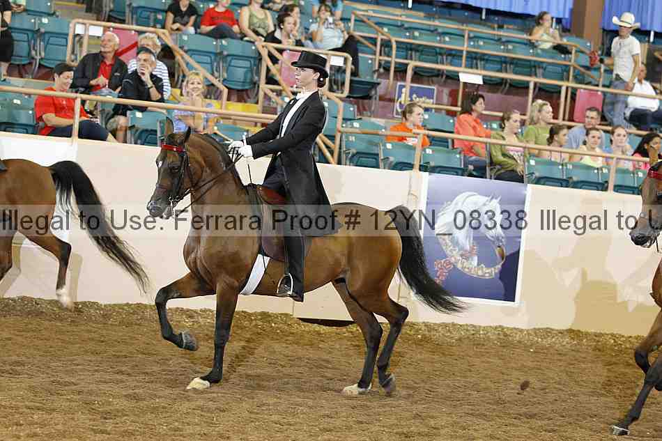 Proof 12yn_08338