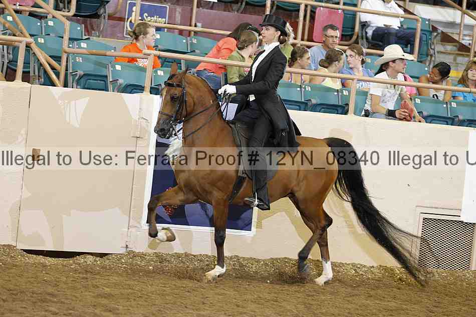 Proof 12yn_08340