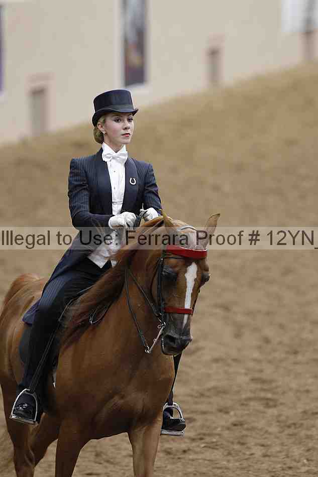 Proof 12yn_08341