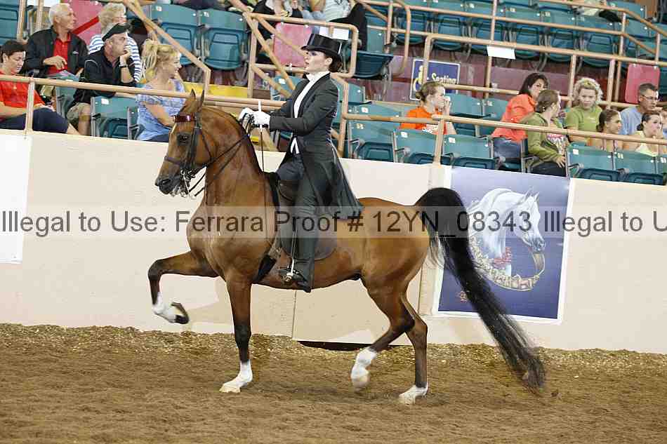 Proof 12yn_08343