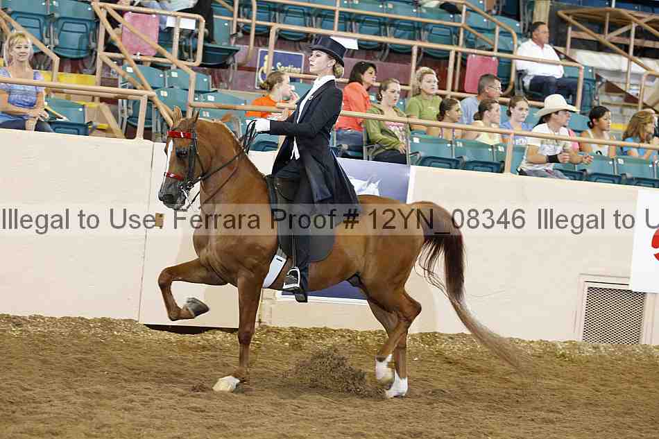 Proof 12yn_08346