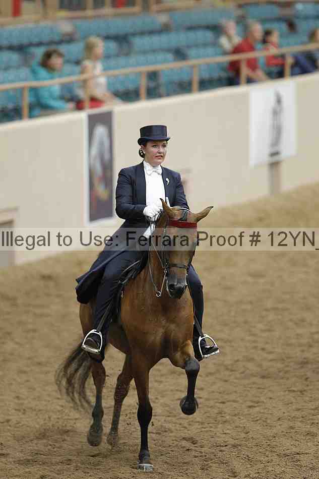 Proof 12yn_08347