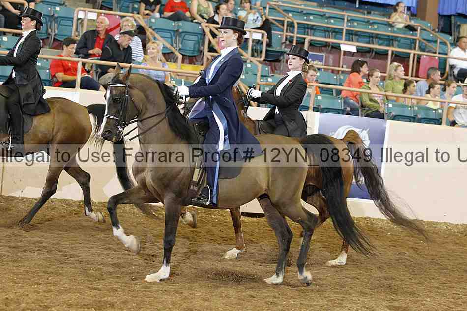 Proof 12yn_08349