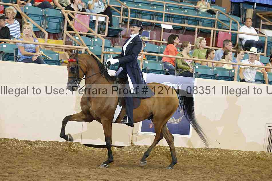 Proof 12yn_08351