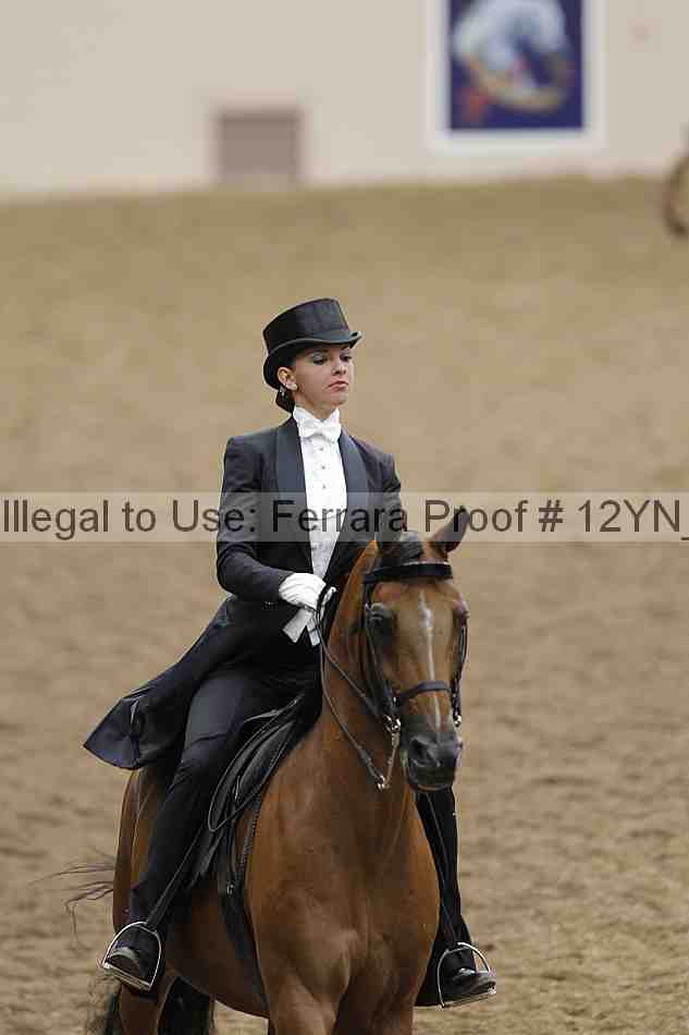 Proof 12yn_08352