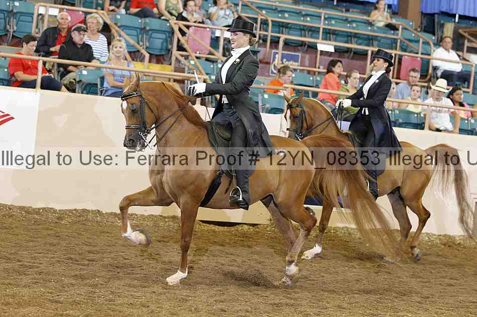 Proof 12yn_08353