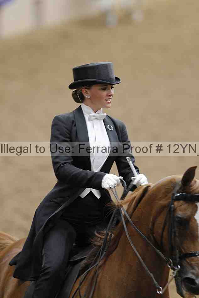 Proof 12yn_08354