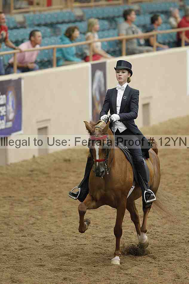 Proof 12yn_08355