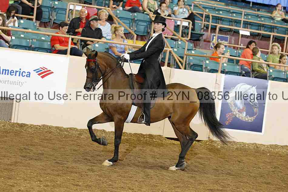 Proof 12yn_08356