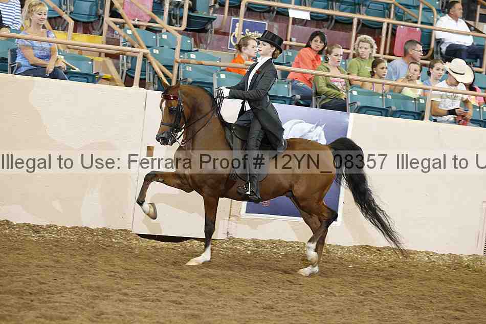 Proof 12yn_08357