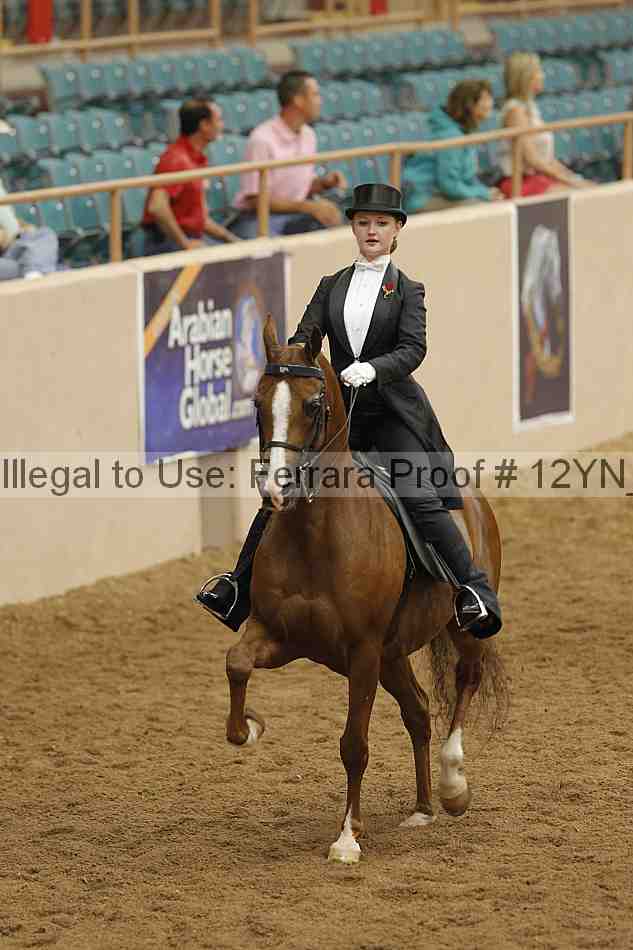 Proof 12yn_08359