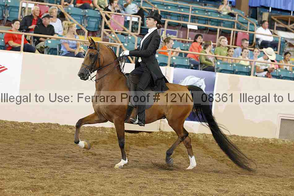 Proof 12yn_08361