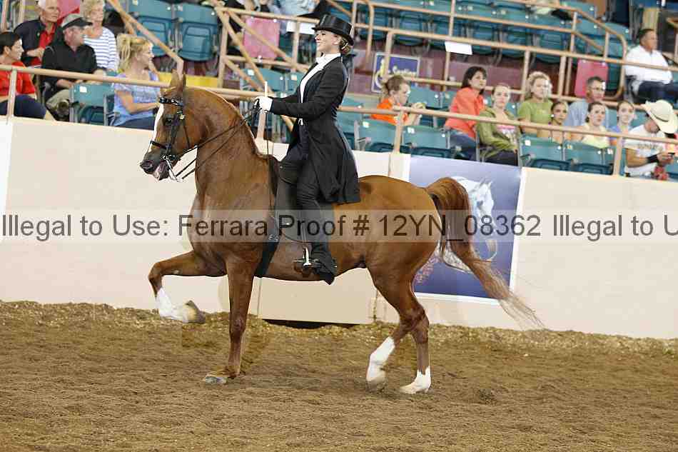 Proof 12yn_08362