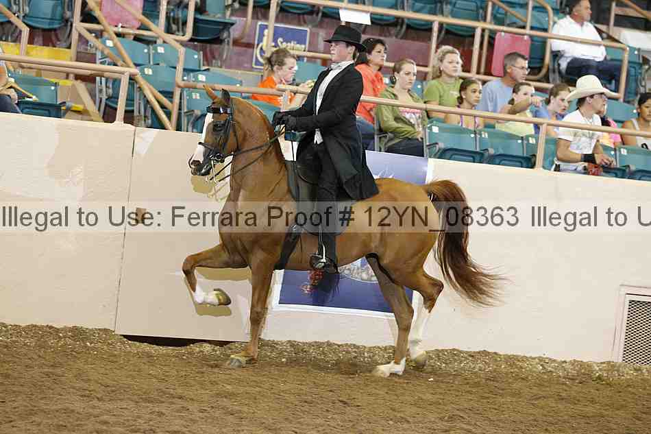 Proof 12yn_08363