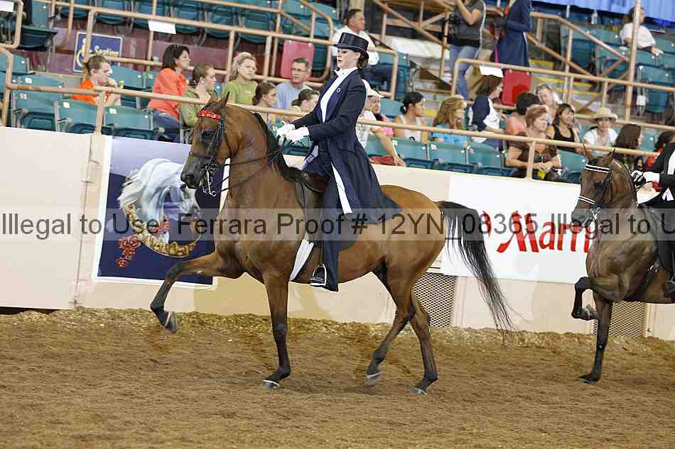 Proof 12yn_08365