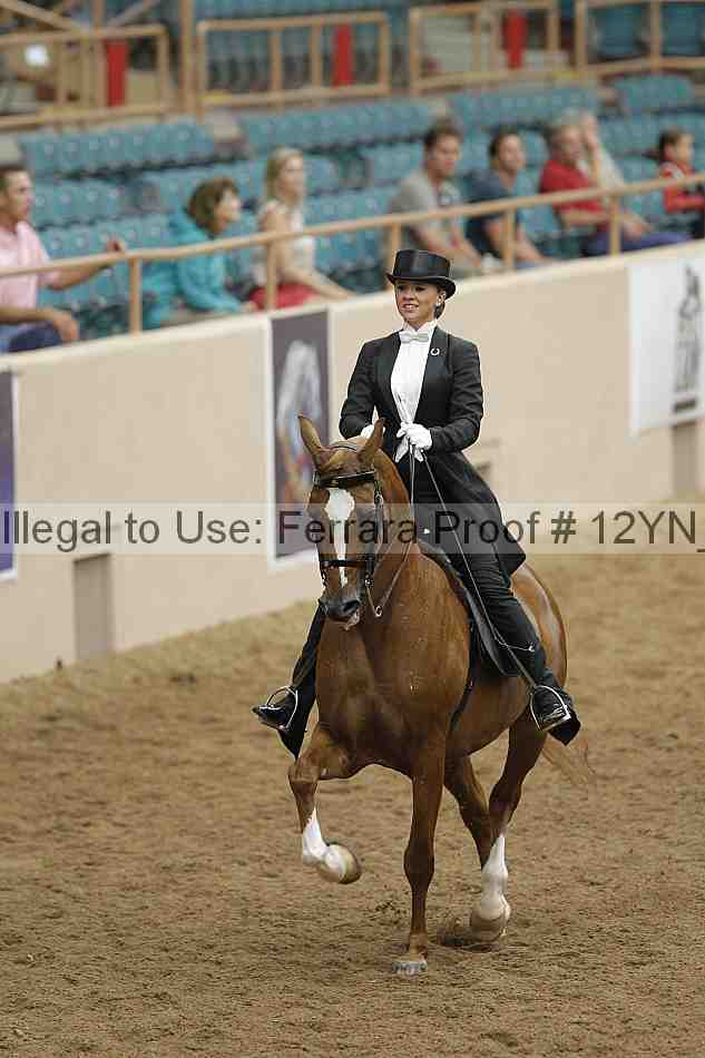 Proof 12yn_08366