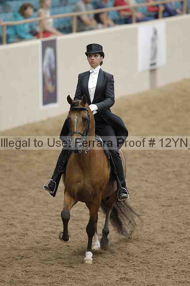 Proof 12yn_08368