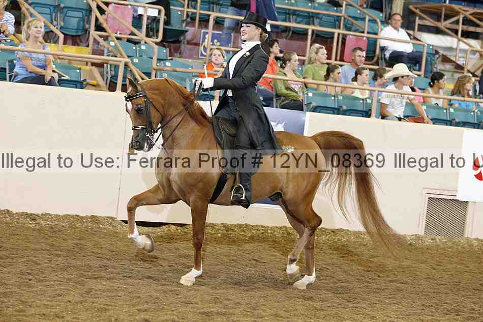 Proof 12yn_08369