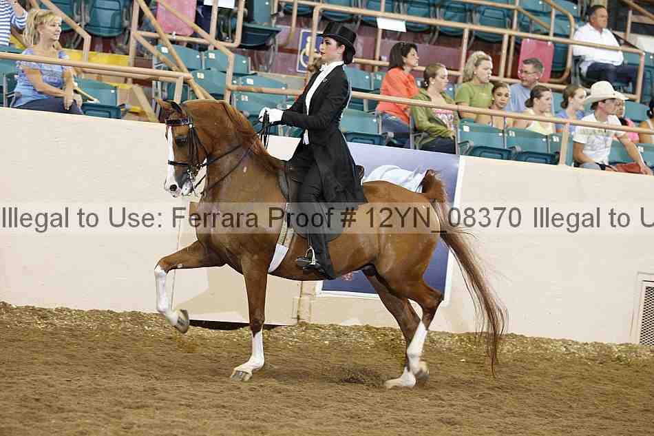 Proof 12yn_08370