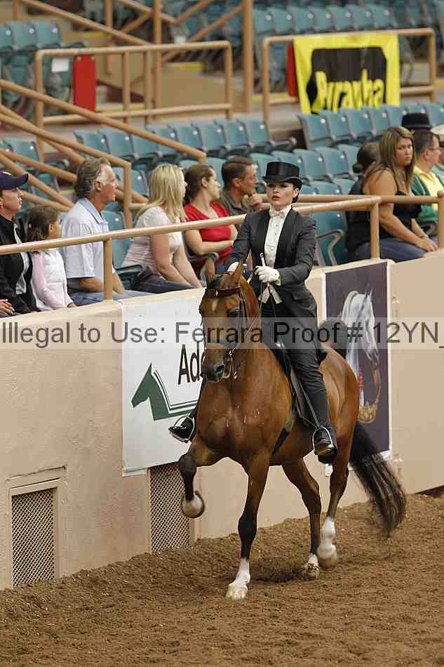 Proof 12yn_08371