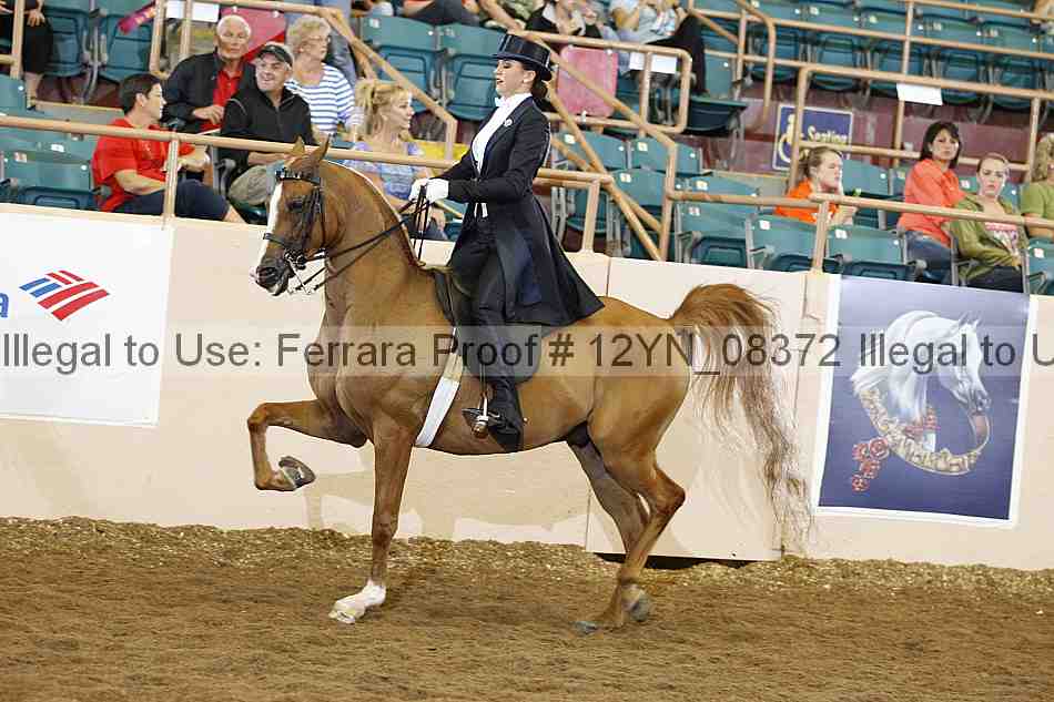 Proof 12yn_08372