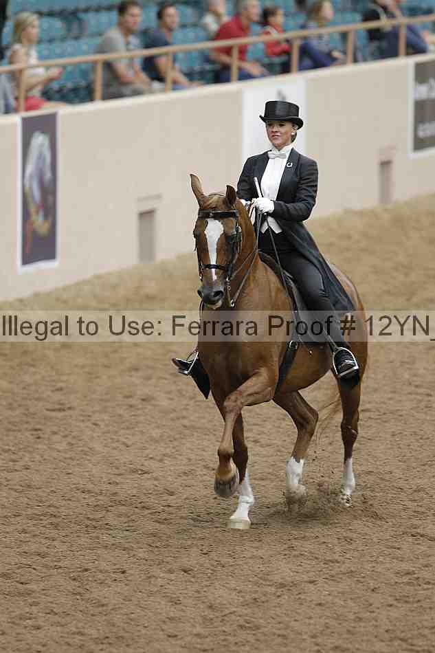 Proof 12yn_08374