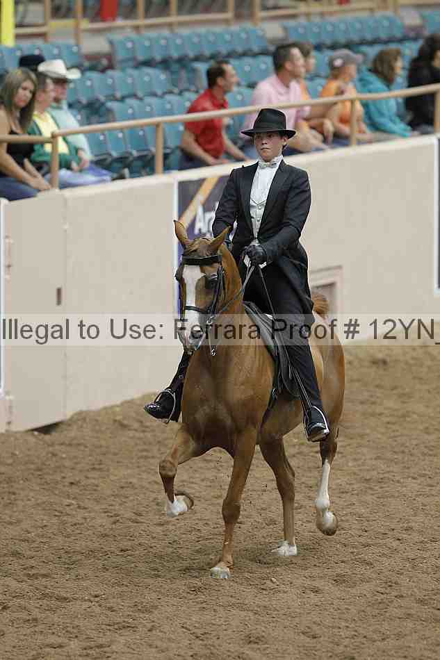Proof 12yn_08376