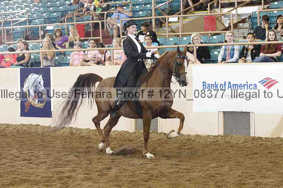 Proof 12yn_08377