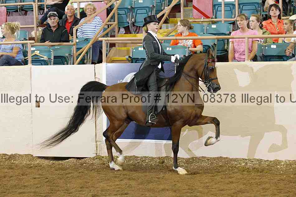 Proof 12yn_08378
