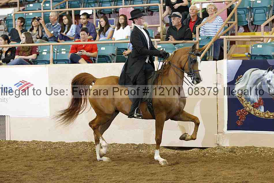 Proof 12yn_08379