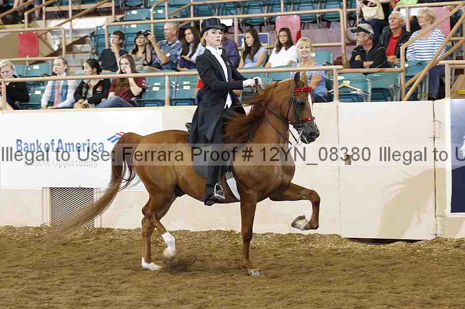 Proof 12yn_08380