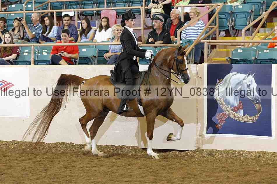 Proof 12yn_08381
