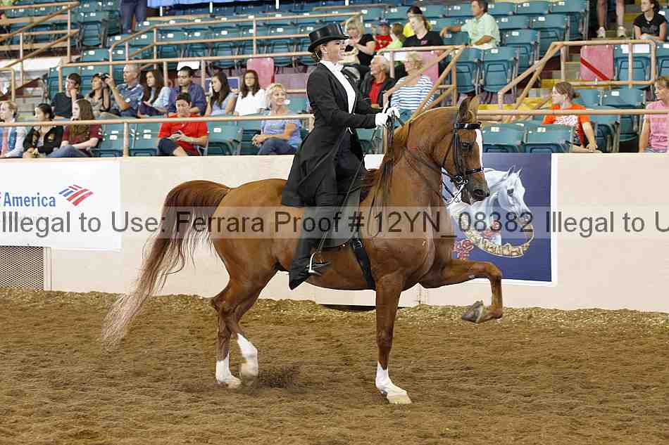 Proof 12yn_08382
